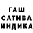Каннабис OG Kush Adila Safina